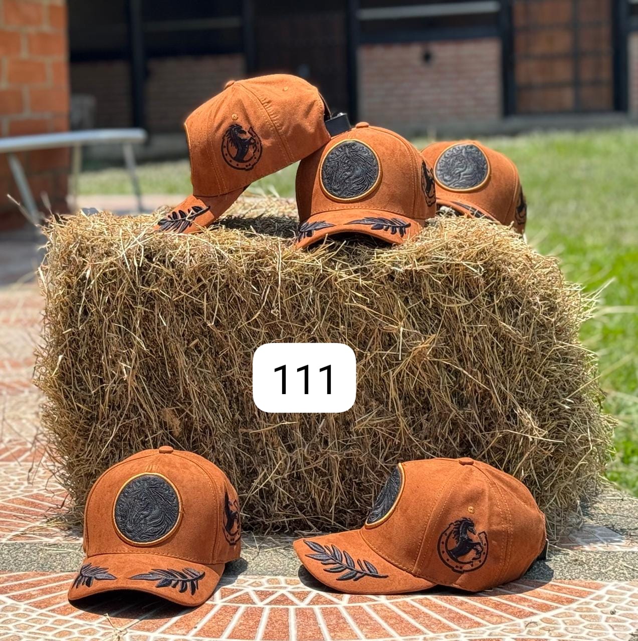 Miniatura 7 de Gorras Equinas Coleccion 31-03